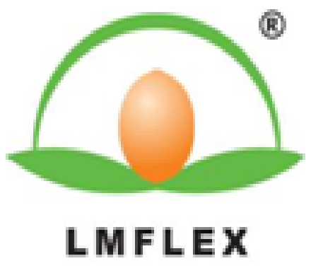 LEMON-FLEX COMPANY LIMITED CHINA