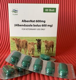 Albendazole bolus