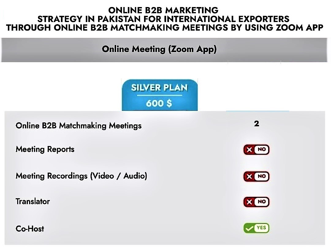 Online B2B Matchmaking Meetings by Zoom