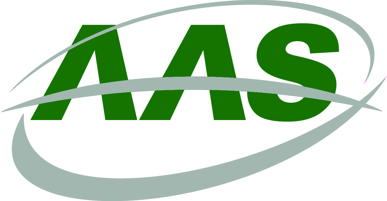 Assyst Apparal Solution