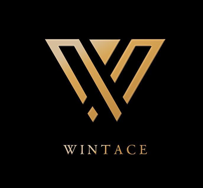 Wintace Hardware Plastic