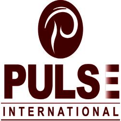 Pluse International