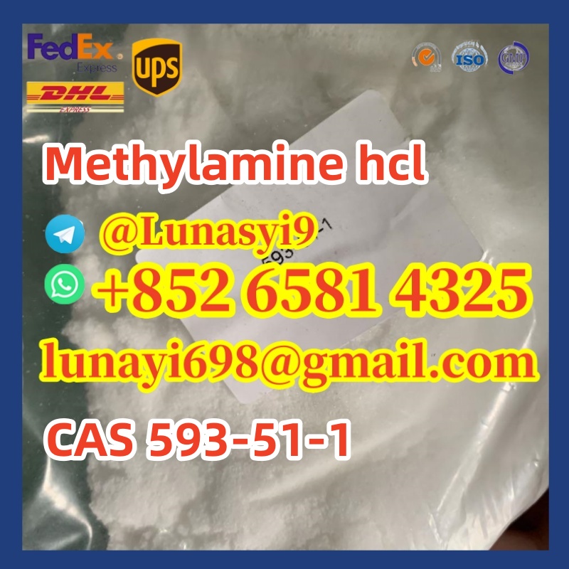 methylamine-hydrochloride-cas-593-51-1-113522