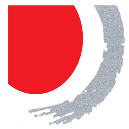 SHANDONG DAIYIN TEXTILE GROUP SHARE CO.,LTD.