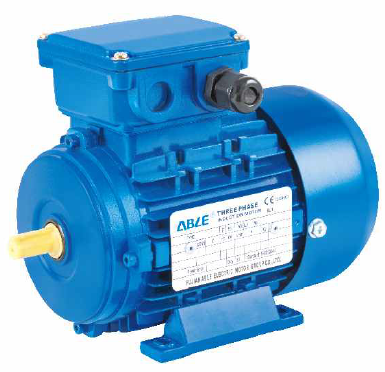 MS Series Three Phase Induction Motor