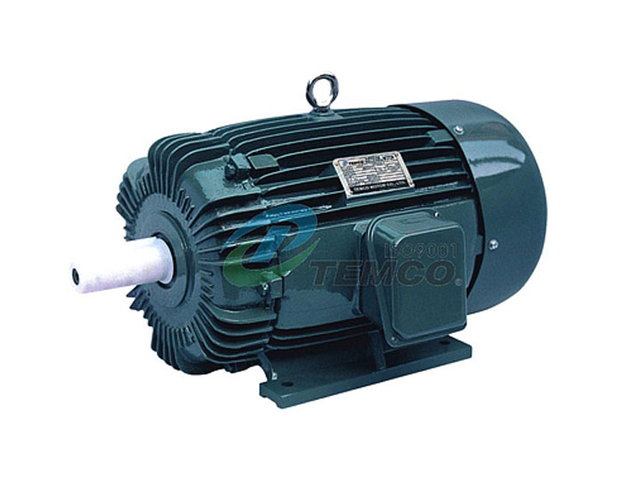 Electric motor