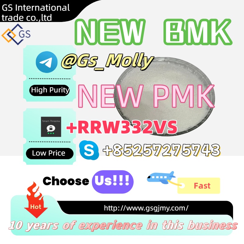 premium-gs-new-bmk-chemical-supplier-113541