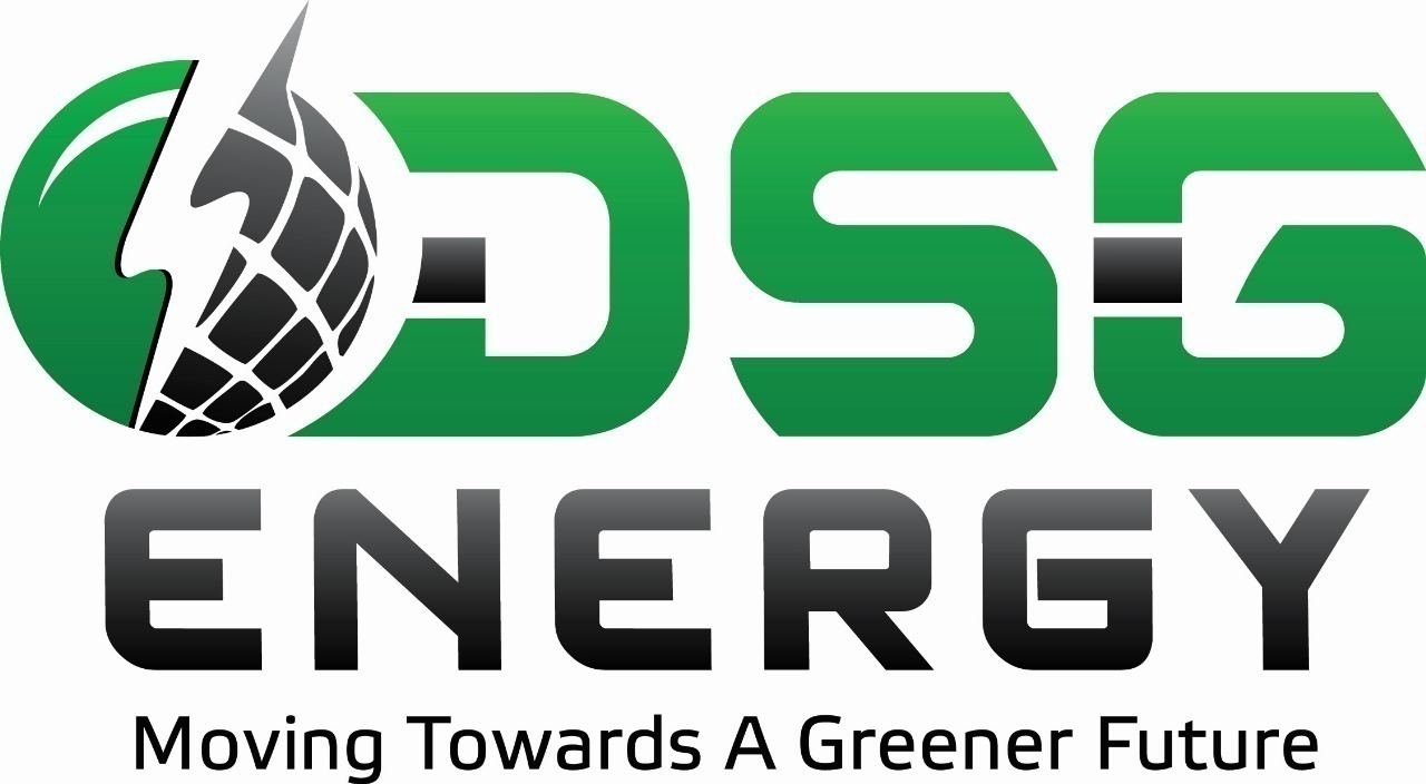 DS GLOBAL PVT LTD