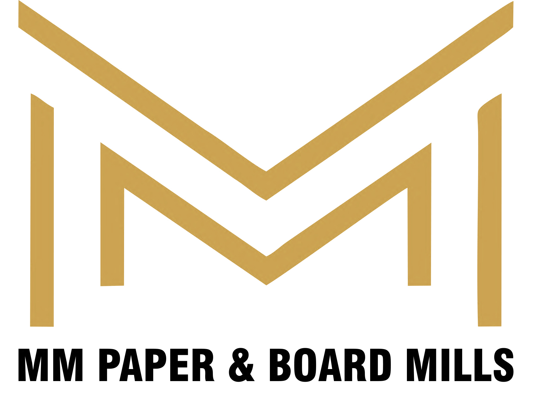 MM PAPER & BOARD MILLS PVT LIMITED