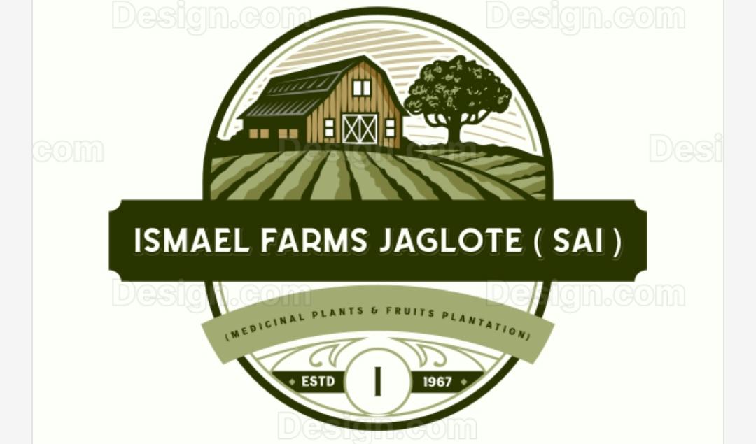 ISMAEL FARMS JUGLOT (SAI) / MASS BUSINESS SOLUTIONS