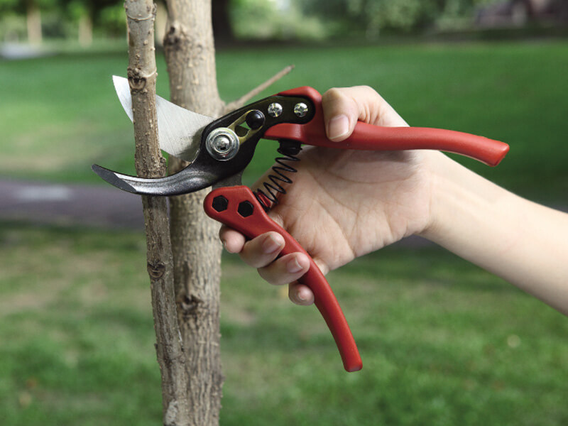 Professional Garden Hand Pruner - 3169-1