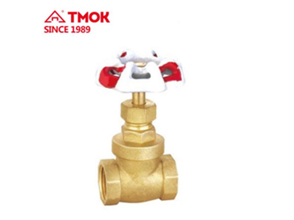 Brass gate valve