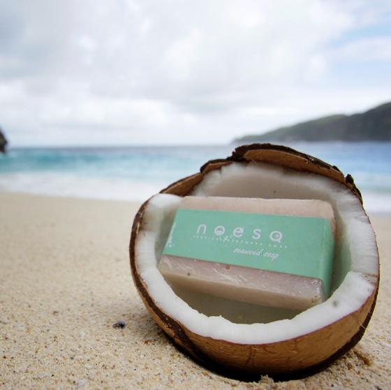 coconut-soap-109782