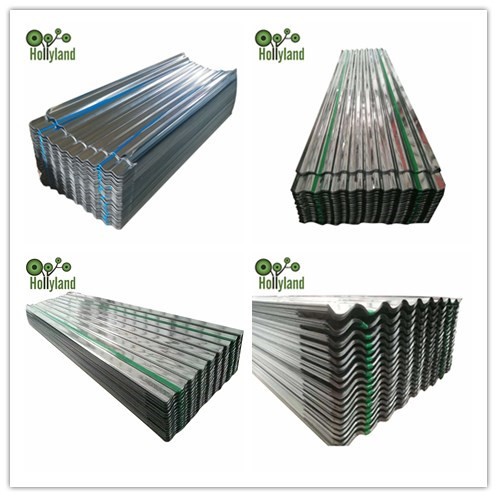 Galvanized Steel Coil/Sheet