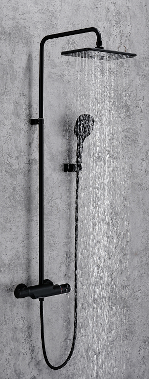 shower-110912