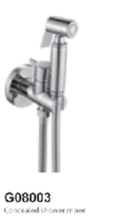 Concealed Shower Mixer